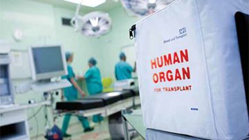 Human-organ-for-transplantation-424px