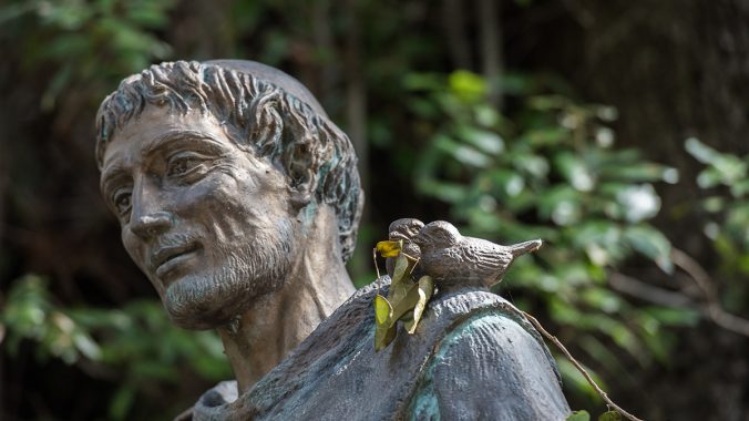 Reflection on Laudato si': Nature, nurture and human ecology
