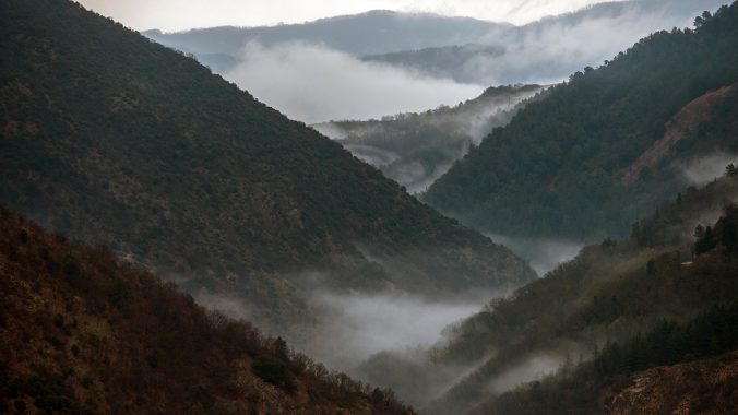 The Pope calls for increased attention for the environment ahead of Encyclical release