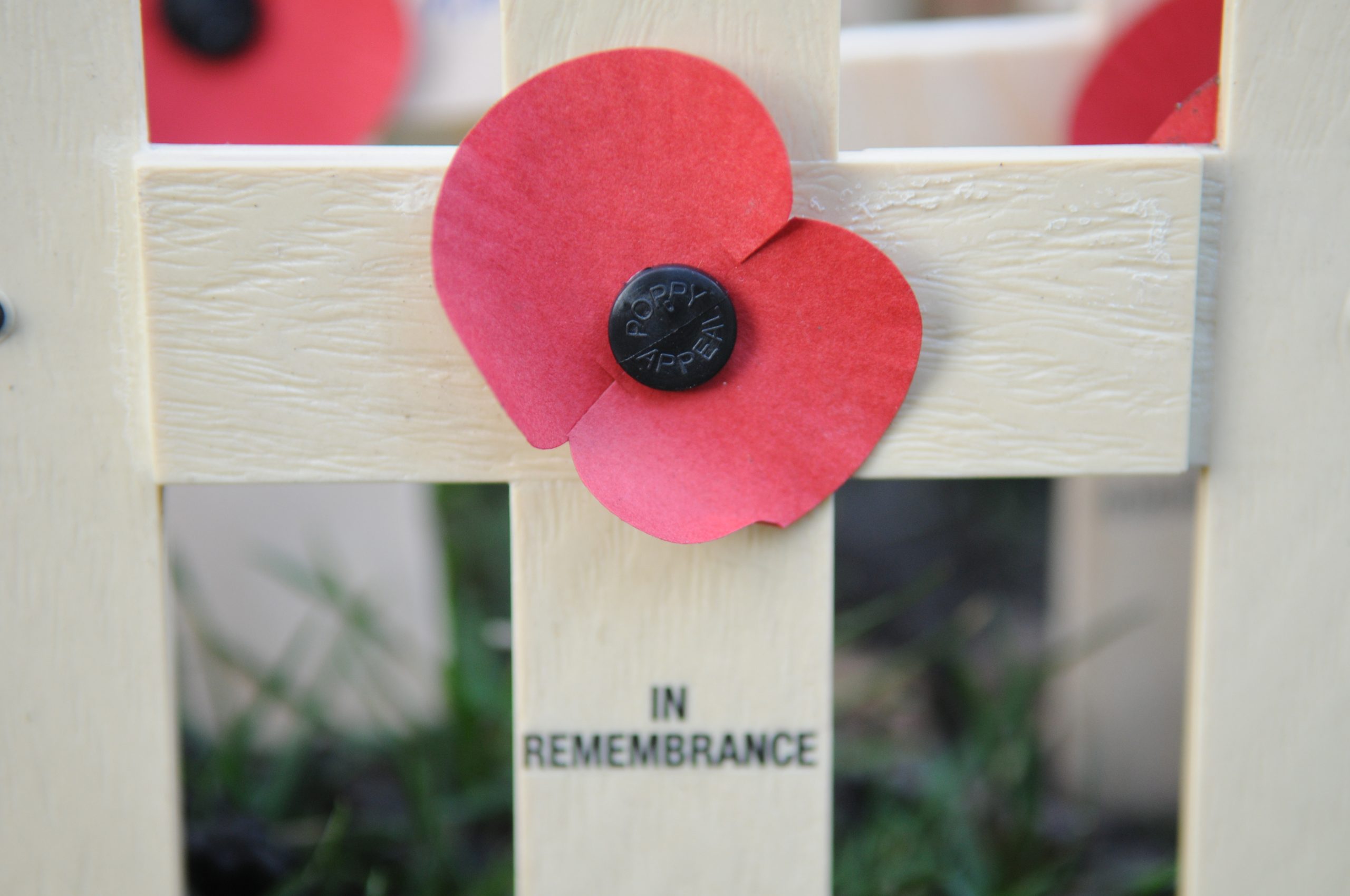 Forces Remembrance Sunday reflection Catholic Conference