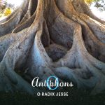 O Antiphons