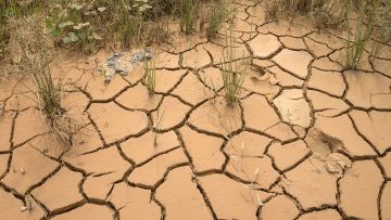 Pope Francis: Second Laudato si’ to be published on 4 October