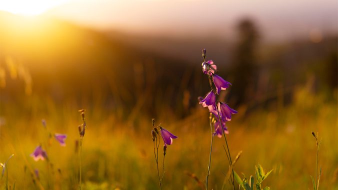 Day of Prayer for Victims and Survivors of Abuse 2024