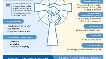 Infographic 2 – Magnifica Humanitas – Cap 2 – EN