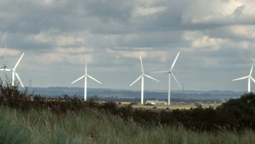Diocesan Environmental Leads Network