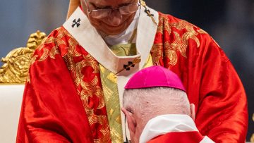 abp-moth-pallium-mass-1-641-1140