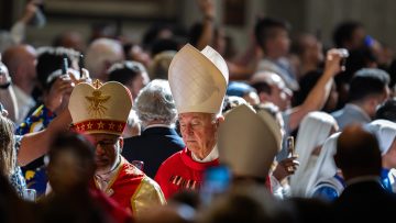 abp-moth-pallium-mass-2-1140-641