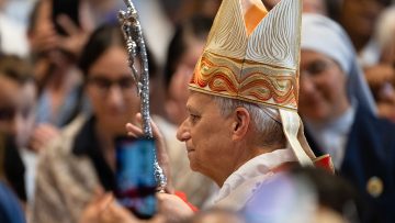 abp-moth-pallium-mass-4-1140-641