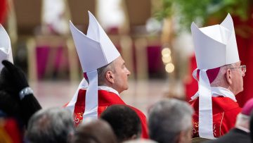 abp-moth-pallium-mass-7-1140-641