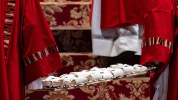abp-moth-pallium-mass-8-1140-641