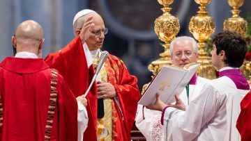 abp-moth-pallium-mass-9-1140-641