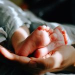 Catholic News