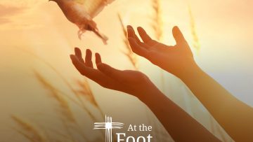 AtFotC-dove-prayer-1600