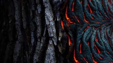 tree-lava-creation-destruction-pexels1140-641